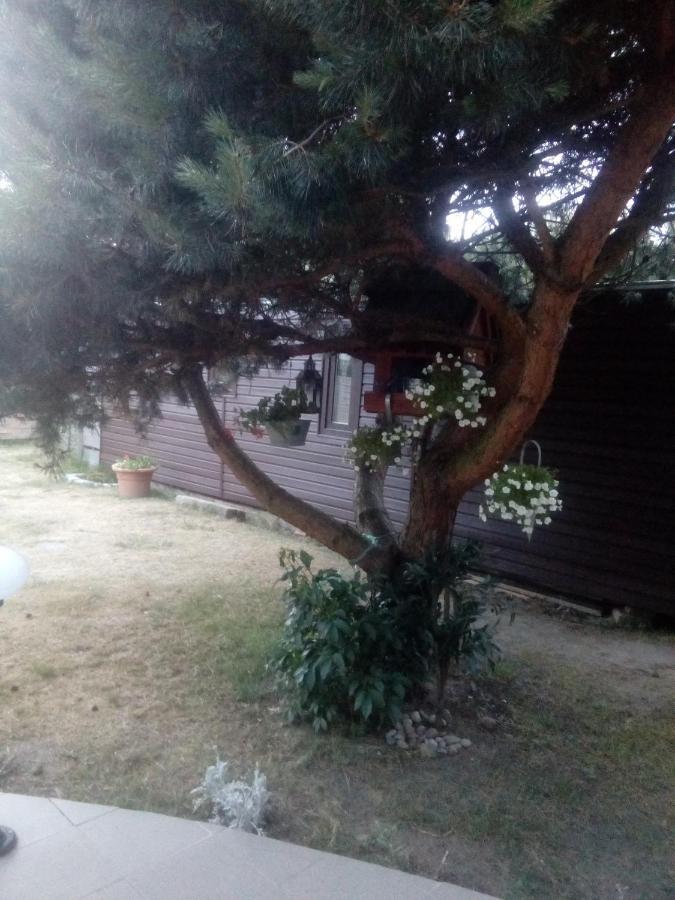 Chabrowa Perla Apartment Jaroslawiec Luaran gambar